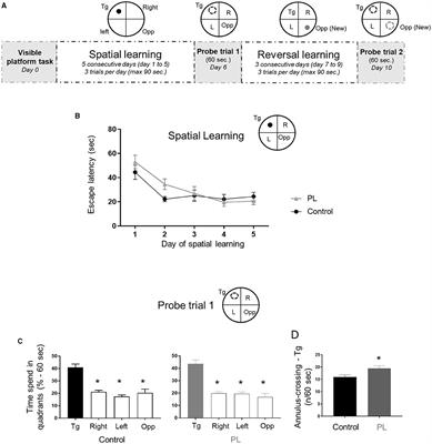 Effects of Post-natal Dietary Milk Fat Globule Membrane Polar Lipid Supplementation on Motor Skills, Anxiety, and Long-Term Memory in Adulthood